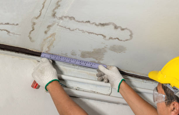 Reliable Water Damage contractor in Thrall, TX by Water Damage Irwin